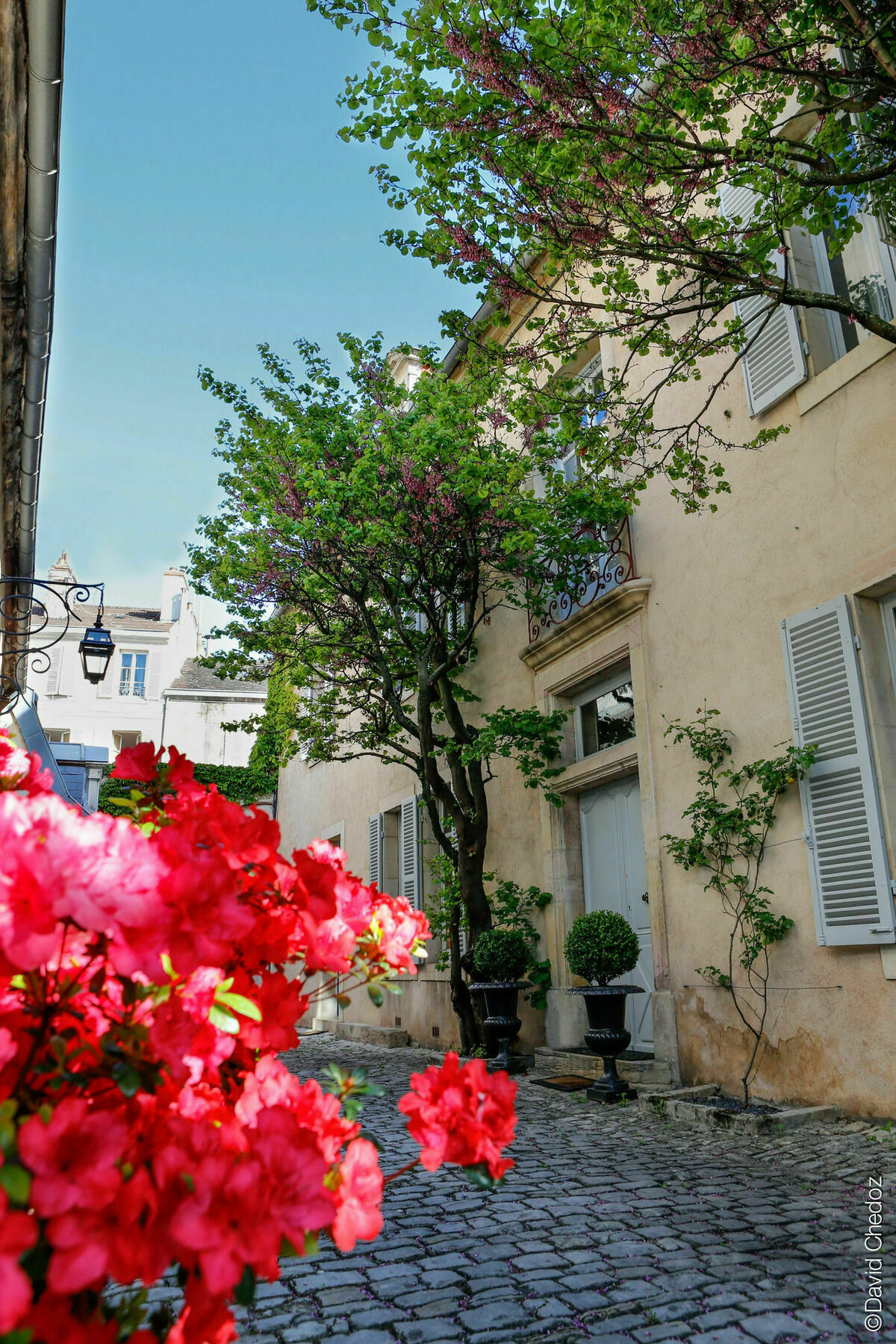 Hotel La Cour Berbisey - Teritoria Dijon Exteriér fotografie
